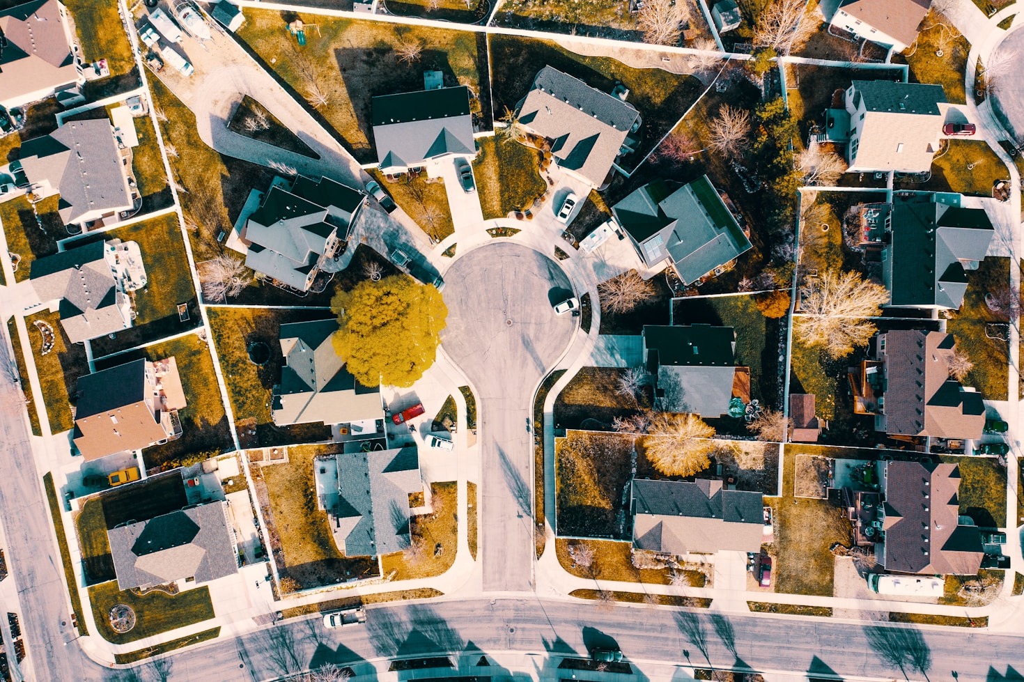 🌟 Get Involved: Help Shape the Future of Woods-Sugarberry